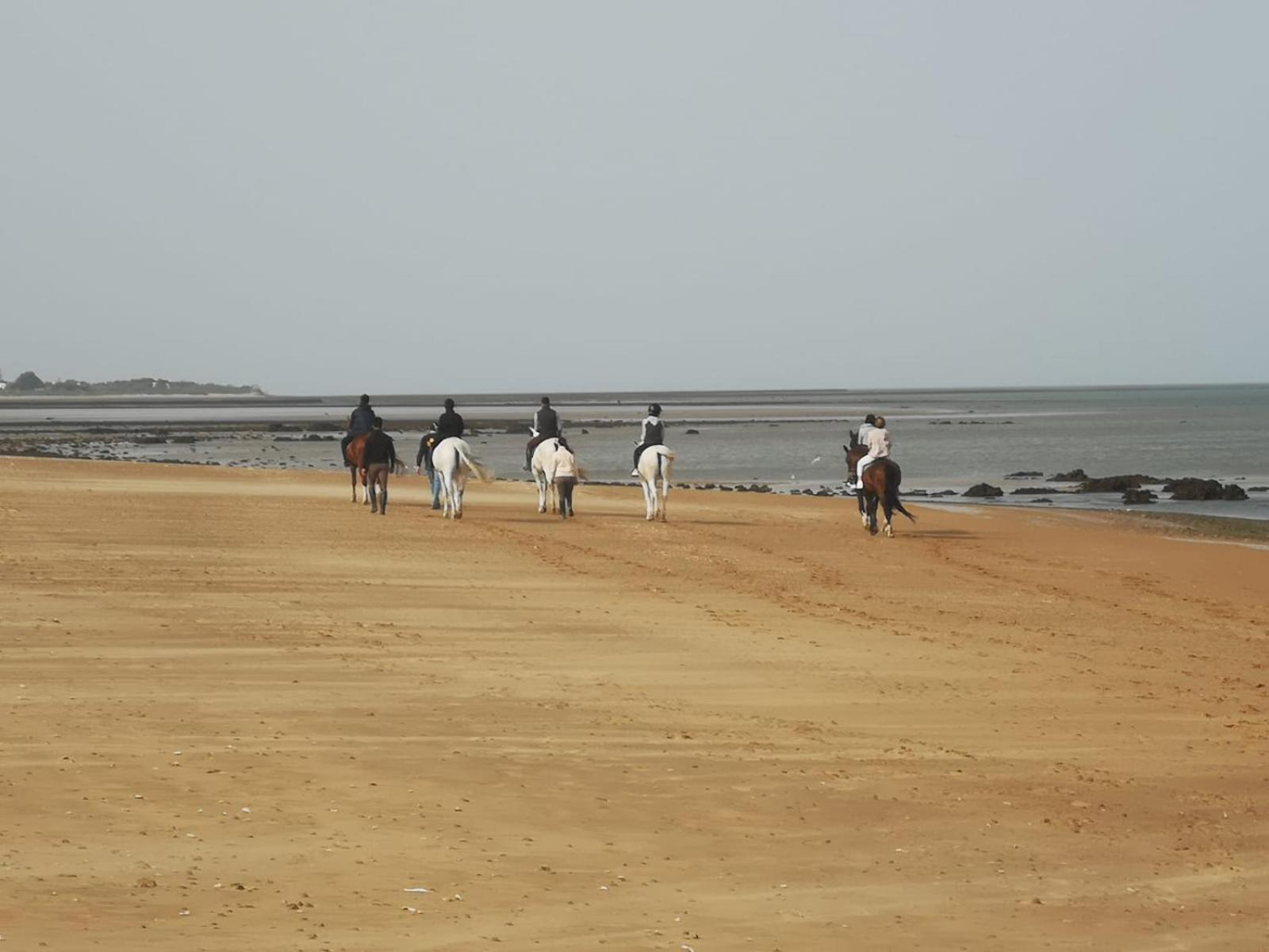 Sanlucarsun Apartamento Frente Al Mar Sanlúcar de Barrameda Exterior foto